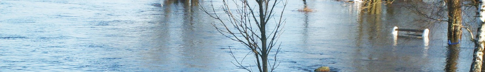 Oversvoemmelse Traeer Og Skilt